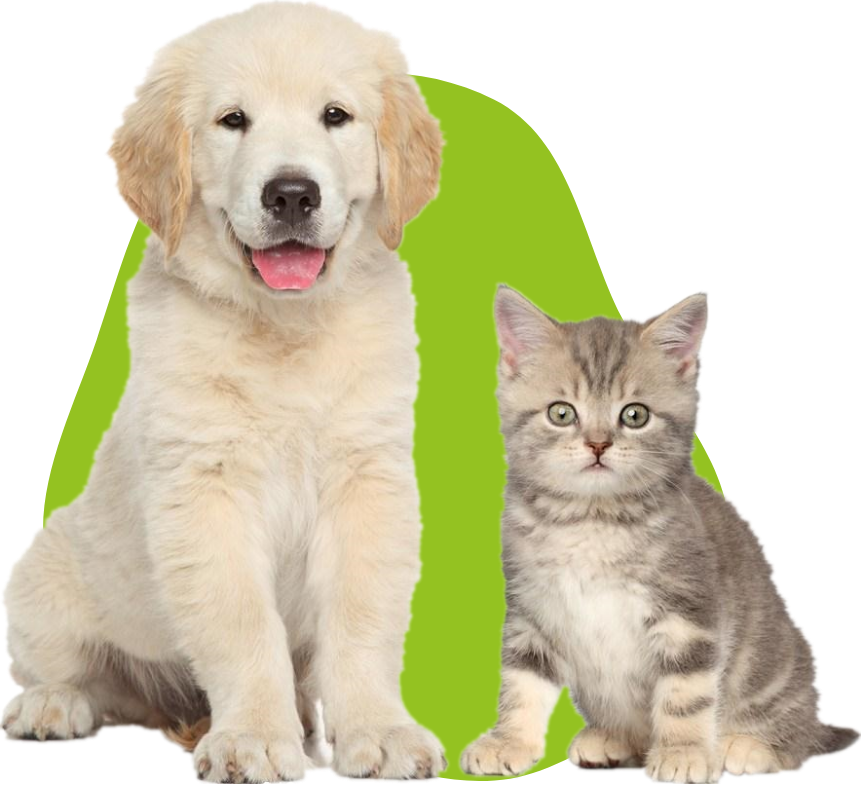 Nutrimo Croquette Bellevigne En Layon Explorez Notre Selection De Croquettes Pour Animaux